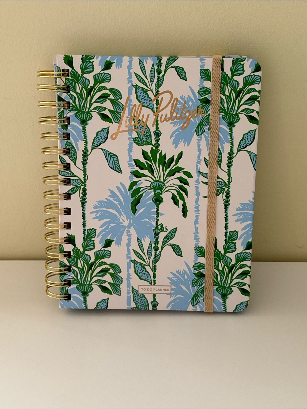 Brand New Lilly Pulitzer To Do Planner Light Blue Swayin in the Breeze